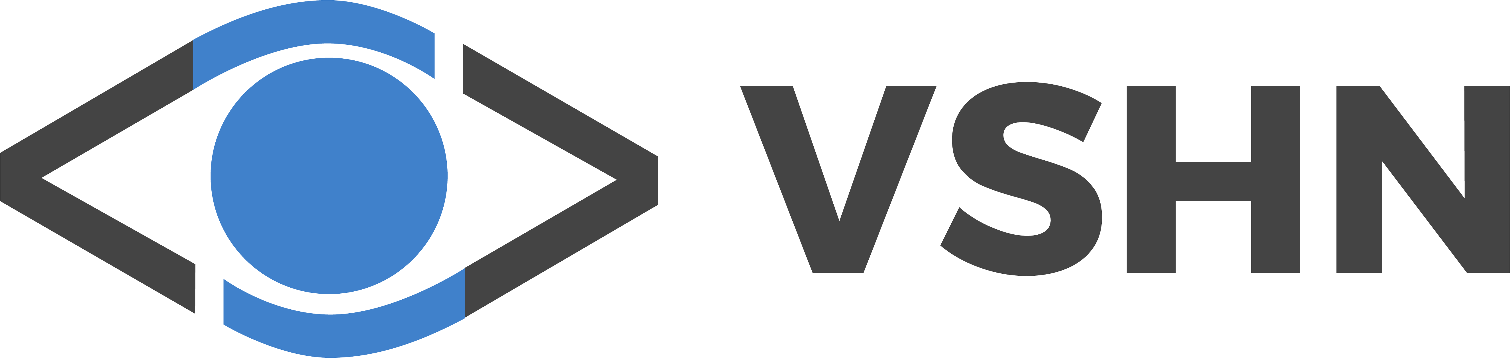 2021 LOGO VSHN color